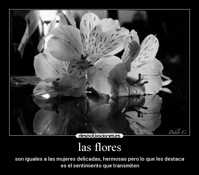 las flores - son iguales a las mujeres delicadas, hermosas pero lo que les destaca
es el sentimiento que transmiten