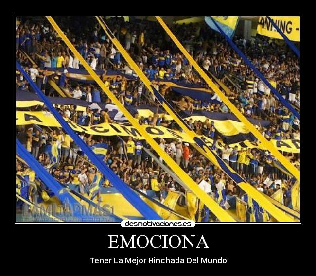 carteles boca juniors desmotivaciones