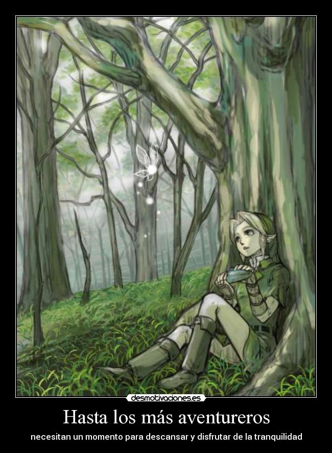 carteles nomiresaqui harukaze link buenorro tocame ocarina toco flauta muahaha desmotivaciones