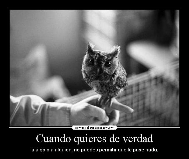 Cuando quieres de verdad - a algo o a alguien, no puedes permitir que le pase nada.