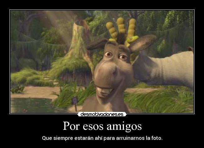 Por esos amigos -