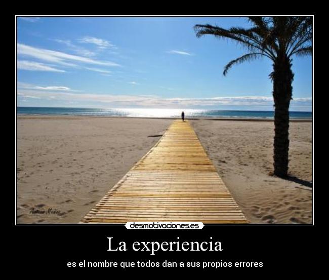 La experiencia - es el nombre que todos dan a sus propios errores