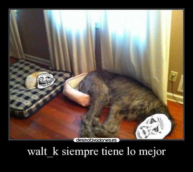 walt_k siempre tiene lo mejor -