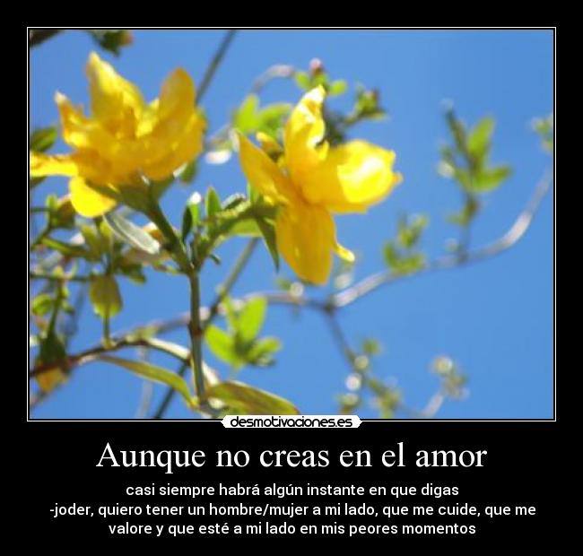 Aunque no creas en el amor - casi siempre habrá algún instante en que digas
-joder, quiero tener un hombre/mujer a mi lado, que me cuide, que me
valore y que esté a mi lado en mis peores momentos