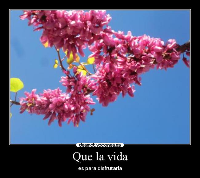 Que la vida - 