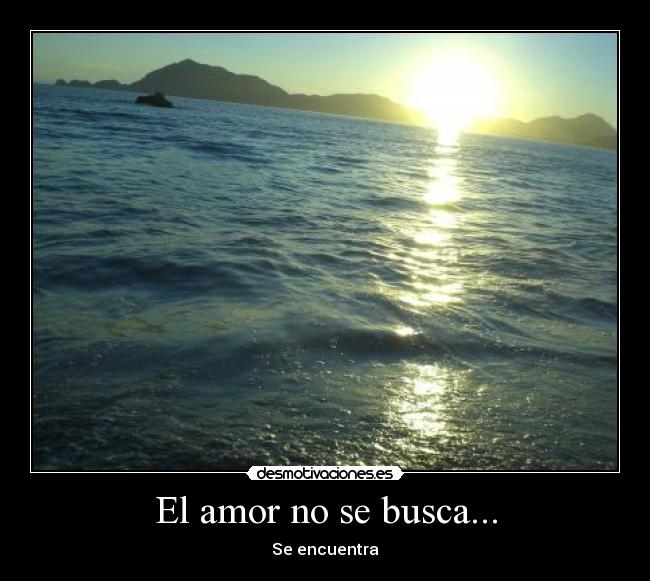 El amor no se busca... - Se encuentra