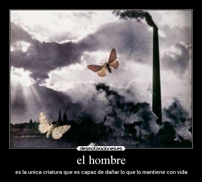 el hombre -