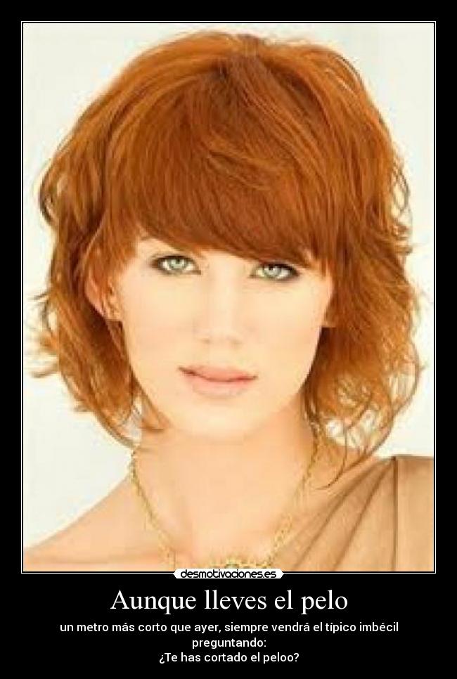 Aunque lleves el pelo -