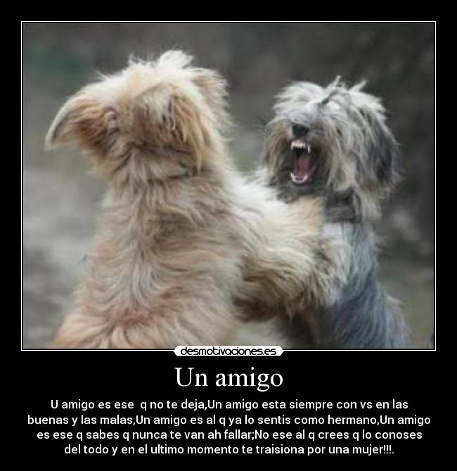 Un amigo - U amigo es ese q no te deja,Un amigo esta siempre con vs en las
buenas y las malas,Un amigo es al q ya lo sentis como hermano,Un amigo
es ese q sabes q nunca te van ah fallar;No ese al q crees q lo conoses
del todo y en el ultimo momento te traisiona por una mujer!!!.