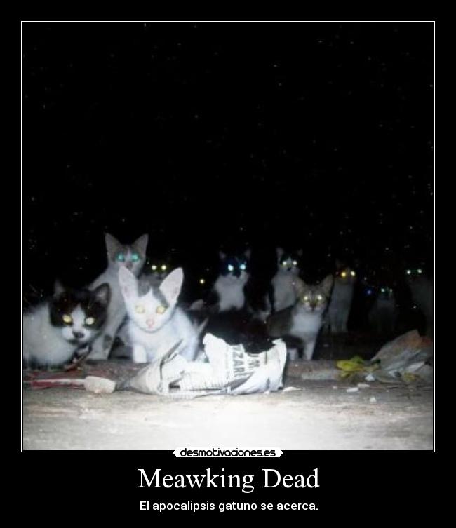 Meawking Dead - El apocalipsis gatuno se acerca.