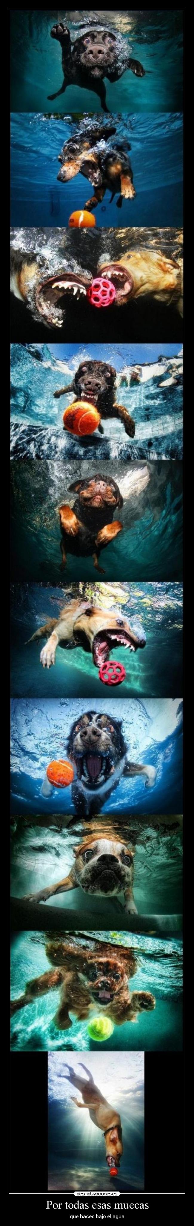 Por todas esas muecas - que haces bajo el agua
