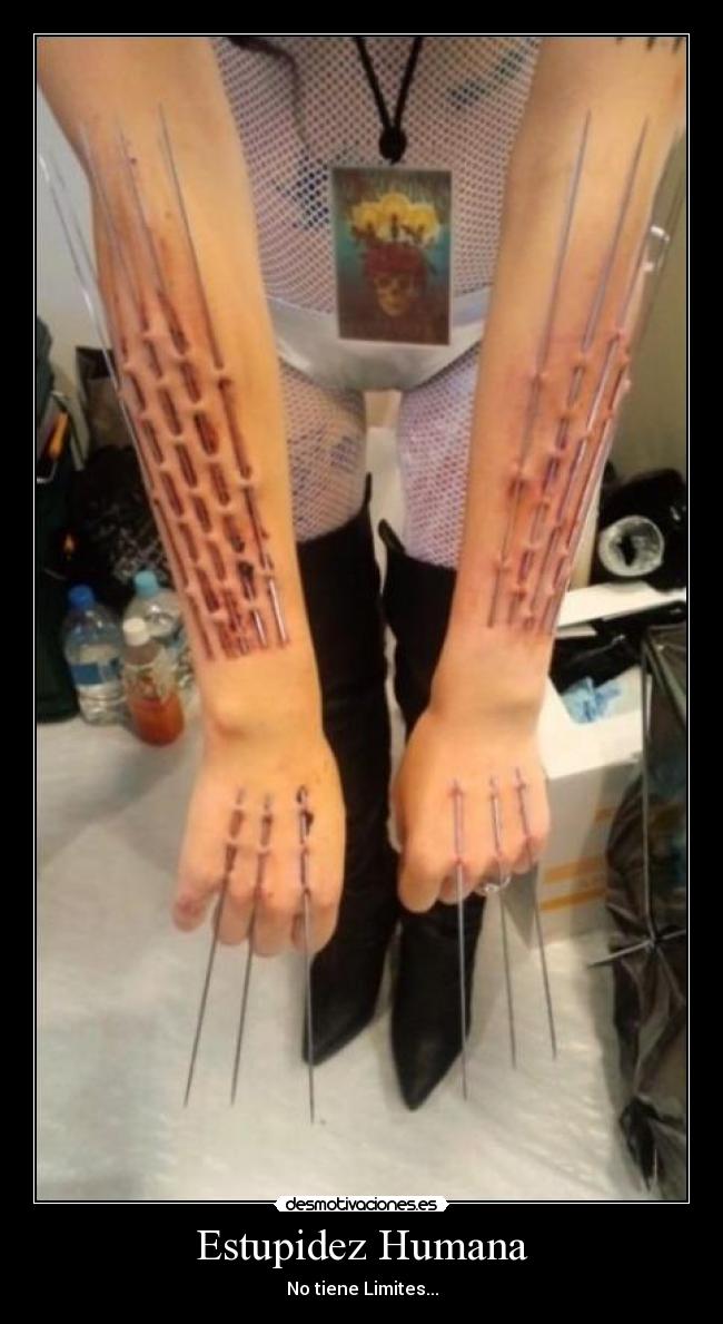 Estupidez Humana - No tiene Limites...