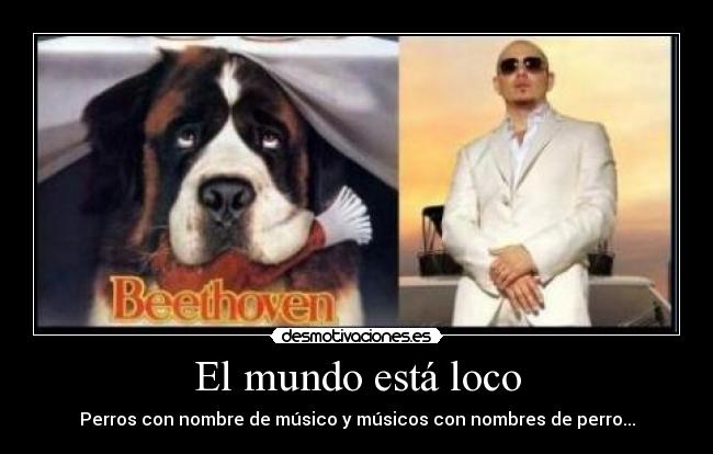 carteles mundo perro desmotivaciones