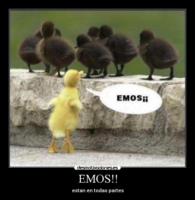 EMOS!! - estan en todas partes