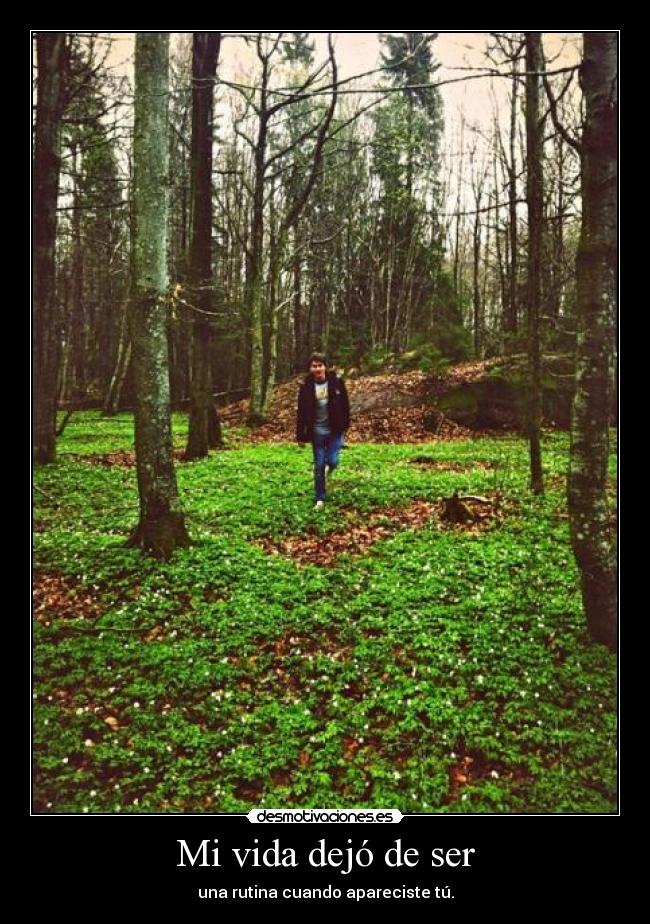 Mi vida dejó de ser -