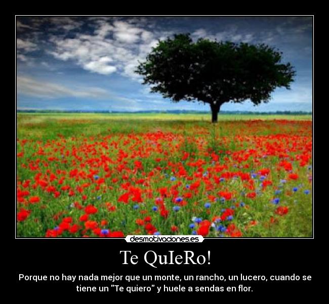 Te QuIeRo! - Porque no hay nada mejor que un monte, un rancho, un lucero, cuando se
tiene un Te quiero y huele a sendas en flor.♥