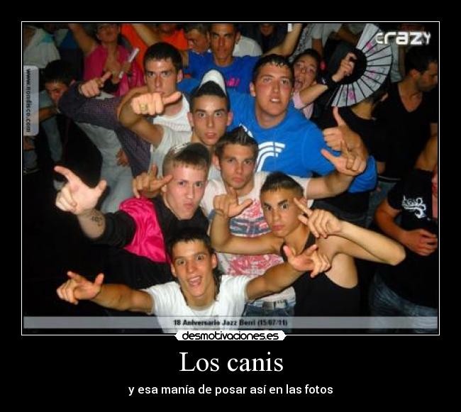 Los canis - y esa manía de posar así en las fotos