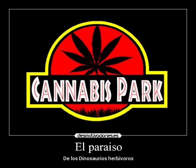 El paraiso -