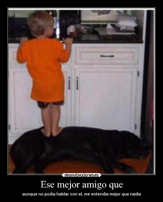 Ese mejor amigo que - aunque no podia hablar con el, me entendia mejor que nadie