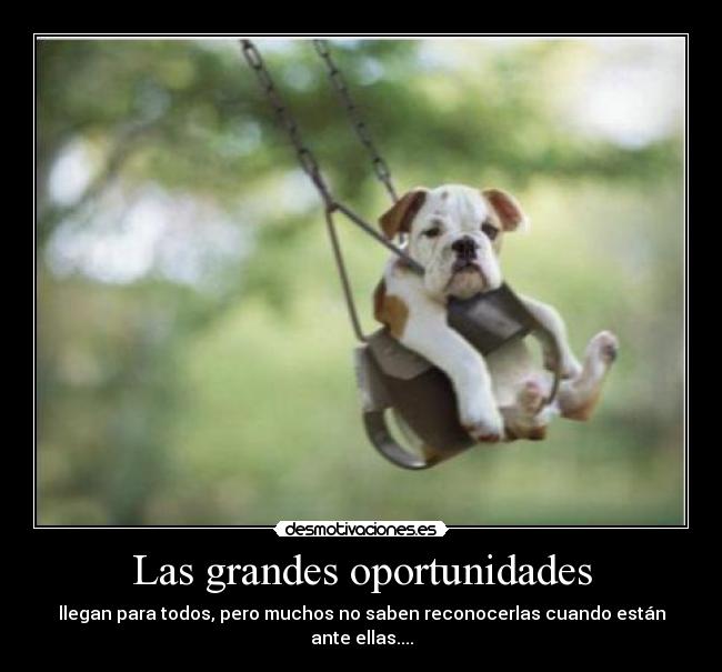 Las grandes oportunidades - 