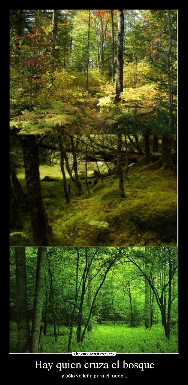 carteles lupuz desmotivaciones