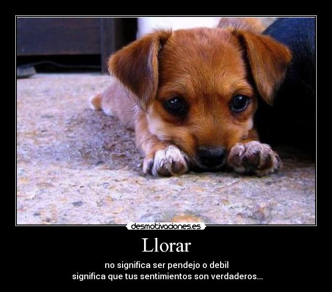 Llorar - 
