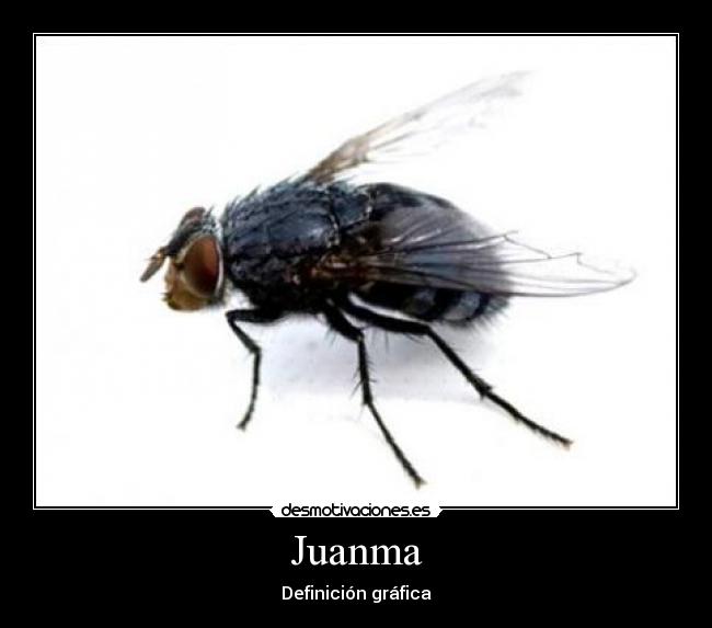 Juanma - Definición gráfica