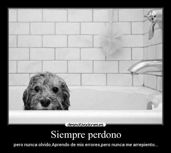 Siempre perdono - 