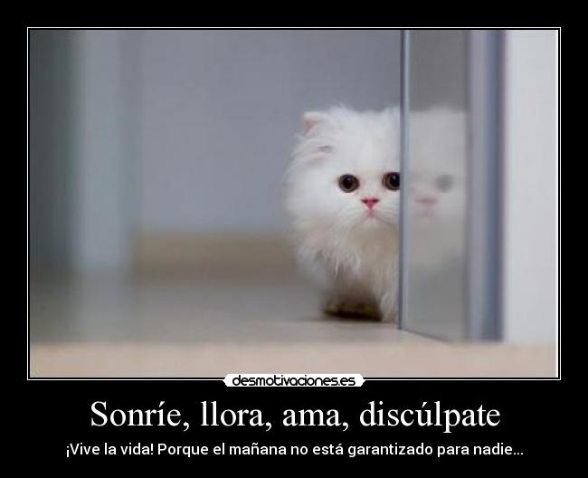 Sonríe, llora, ama, discúlpate -