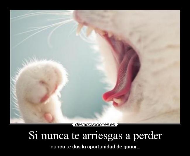 Si nunca te arriesgas a perder - 