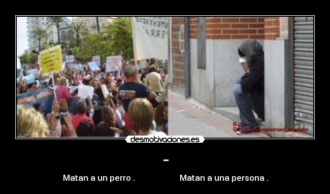 - - Matan a un perro . Matan a una persona .