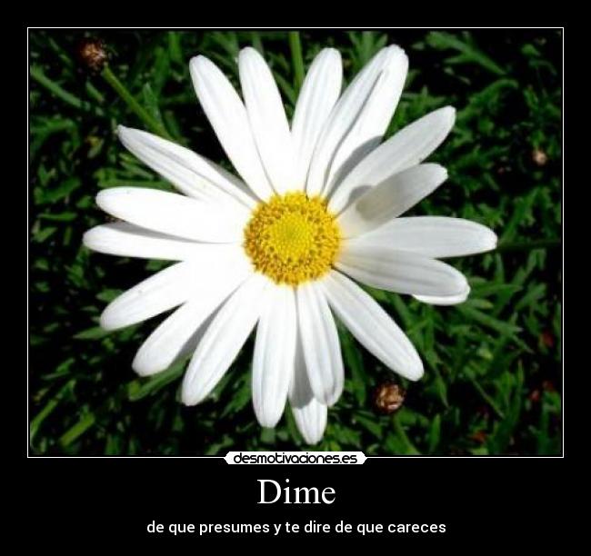 Dime -