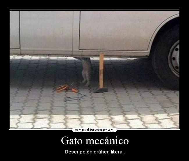 Gato mecánico - Descripción gráfica literal.