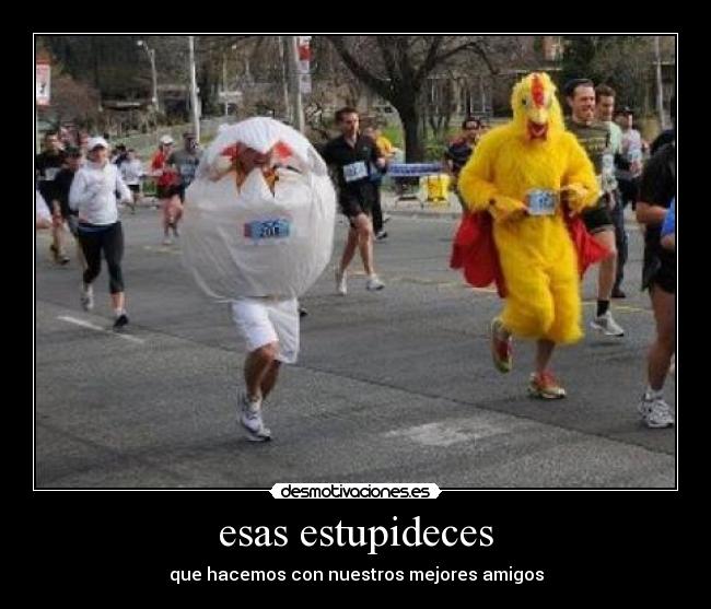 carteles pollo gallina desmotivaciones