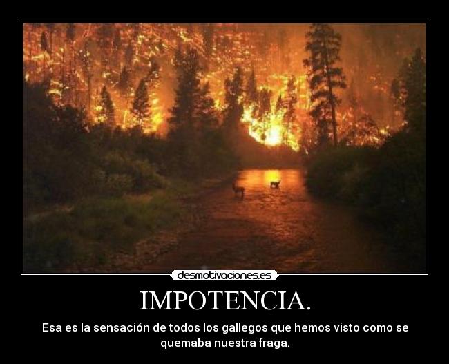 IMPOTENCIA. -
