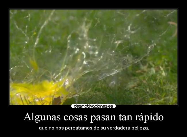 Algunas cosas pasan tan rápido - que no nos percatamos de su verdadera belleza.