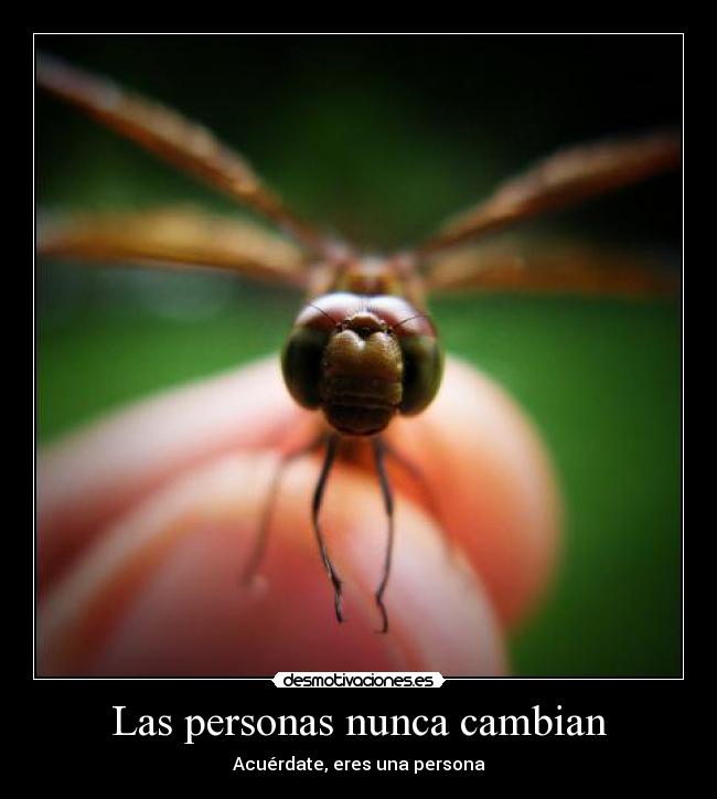Las personas nunca cambian - Acuérdate, eres una persona