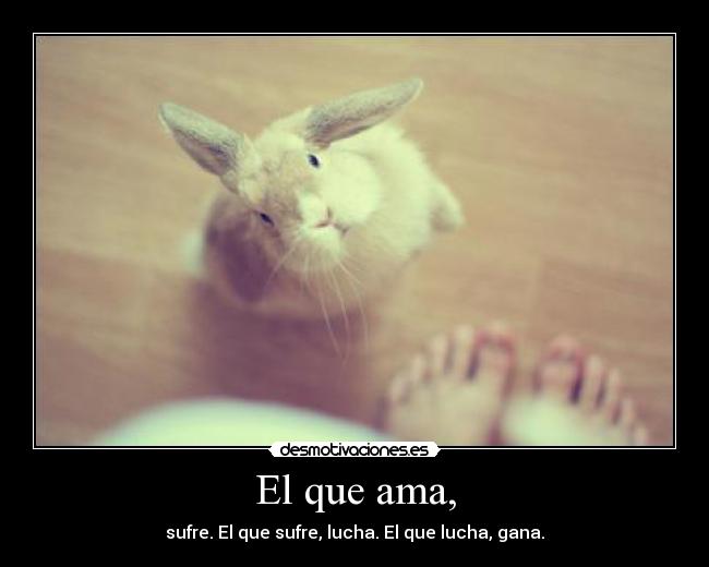 carteles love desmotivaciones