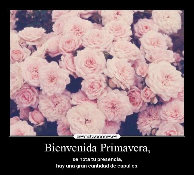 Bienvenida Primavera, - 