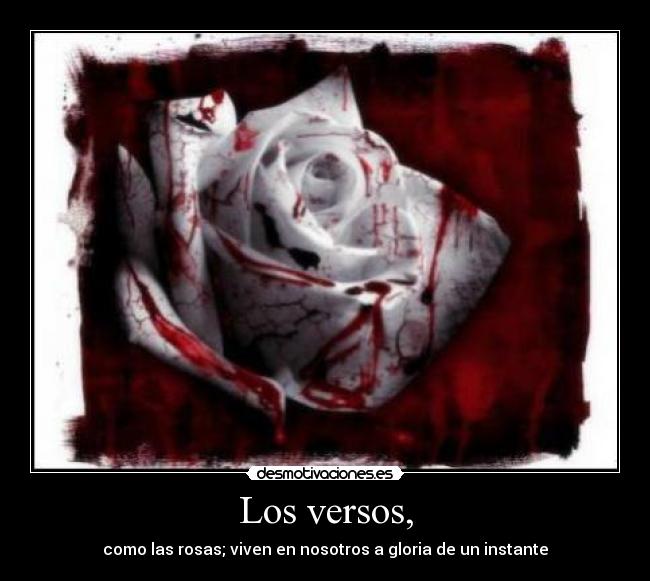 carteles trolrolrolrorlo desmotivaciones