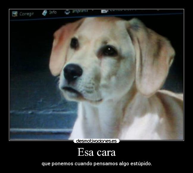 Esa cara - que ponemos cuando pensamos algo estúpido.