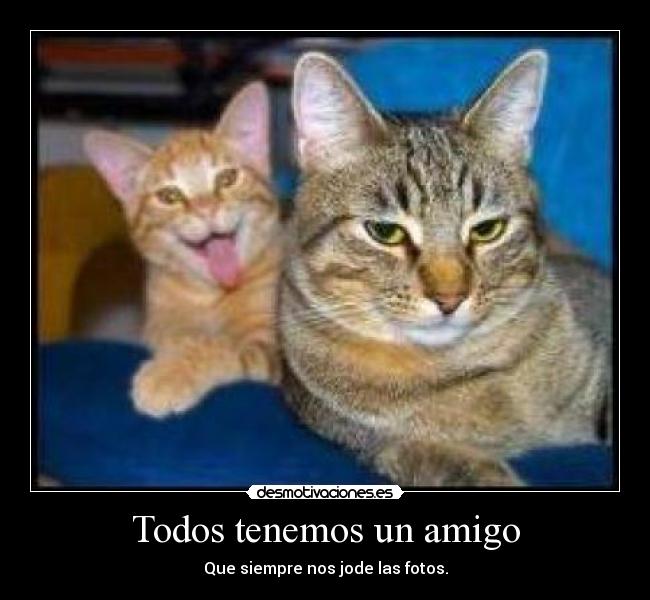 Todos tenemos un amigo - Que siempre nos jode las fotos.