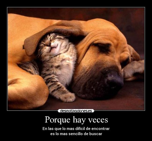 Porque hay veces - En las que lo mas difícil de encontrar
es lo mas sencillo de buscar