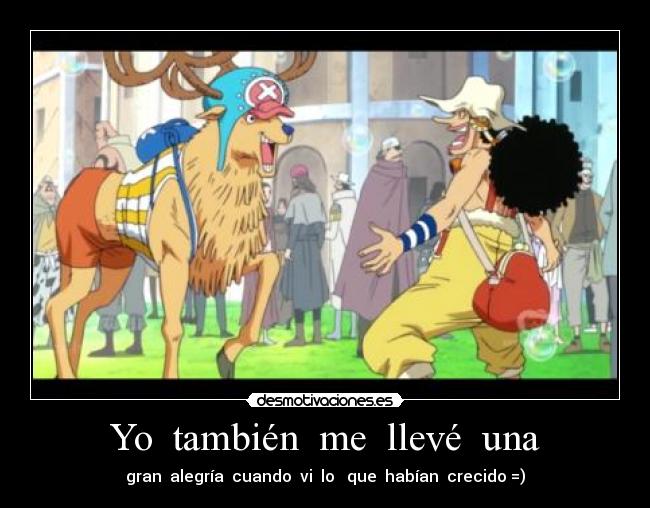 Yo también me llevé una - gran alegría cuando vi lo que habían crecido =)