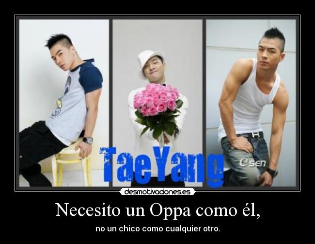 carteles kpoers kpop taeyang taeyang bigbang desmotivaciones