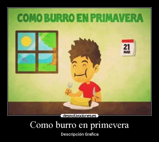 Como burro en primevera -