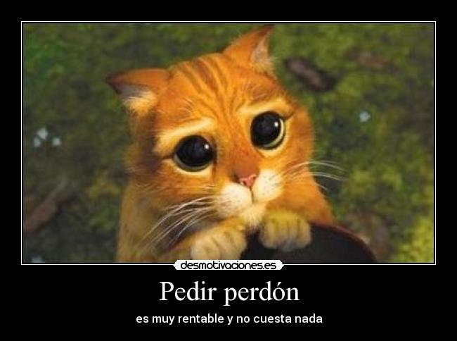 Pedir perdón -