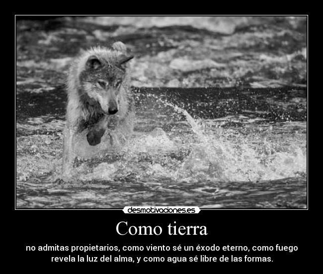 Como tierra - 