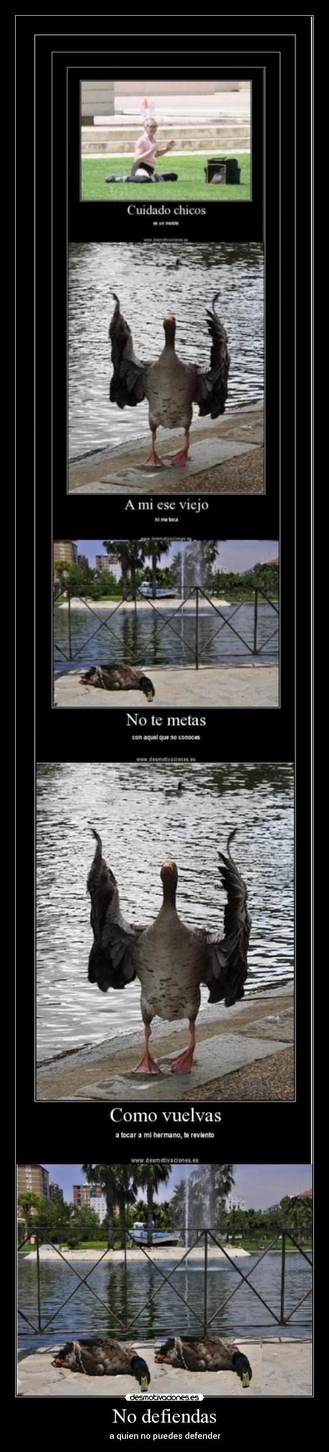 carteles crazyclub varracas final los patos murieron que jodan camion desmotivaciones