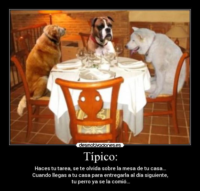 carteles jasnxdju desmotivaciones